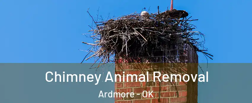 Chimney Animal Removal Ardmore - OK