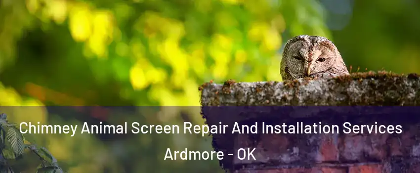  Chimney Animal Screen Repair And Installation Services Ardmore - OK