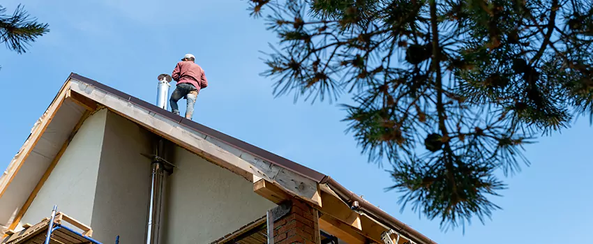 Birds Removal Contractors from Chimney in Ardmore, OK