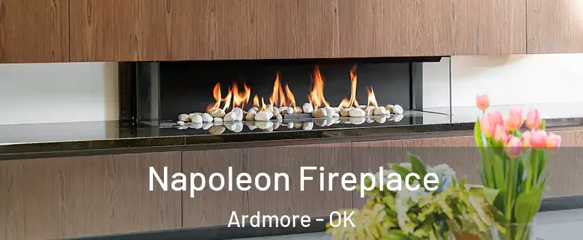  Napoleon Fireplace Ardmore - OK